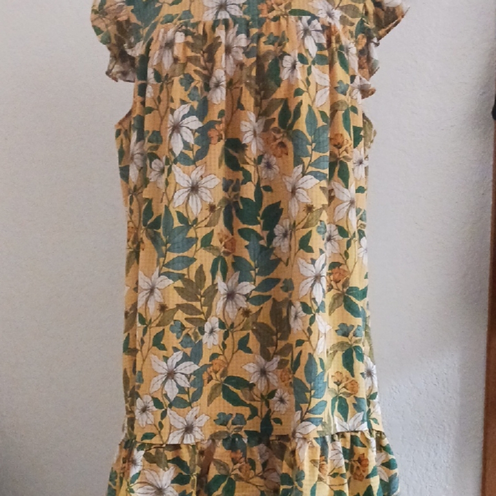 Who What Wear Cream and Gold Cap Sleeve Sundress